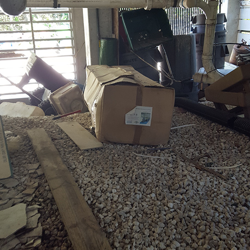 basement with boxes full of pests rusking fl